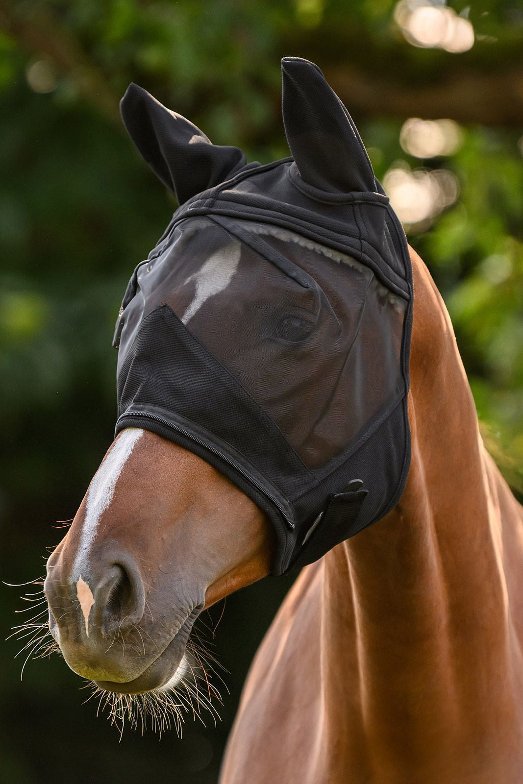 Waldhausen "Premium Fly Mask 3-in-1