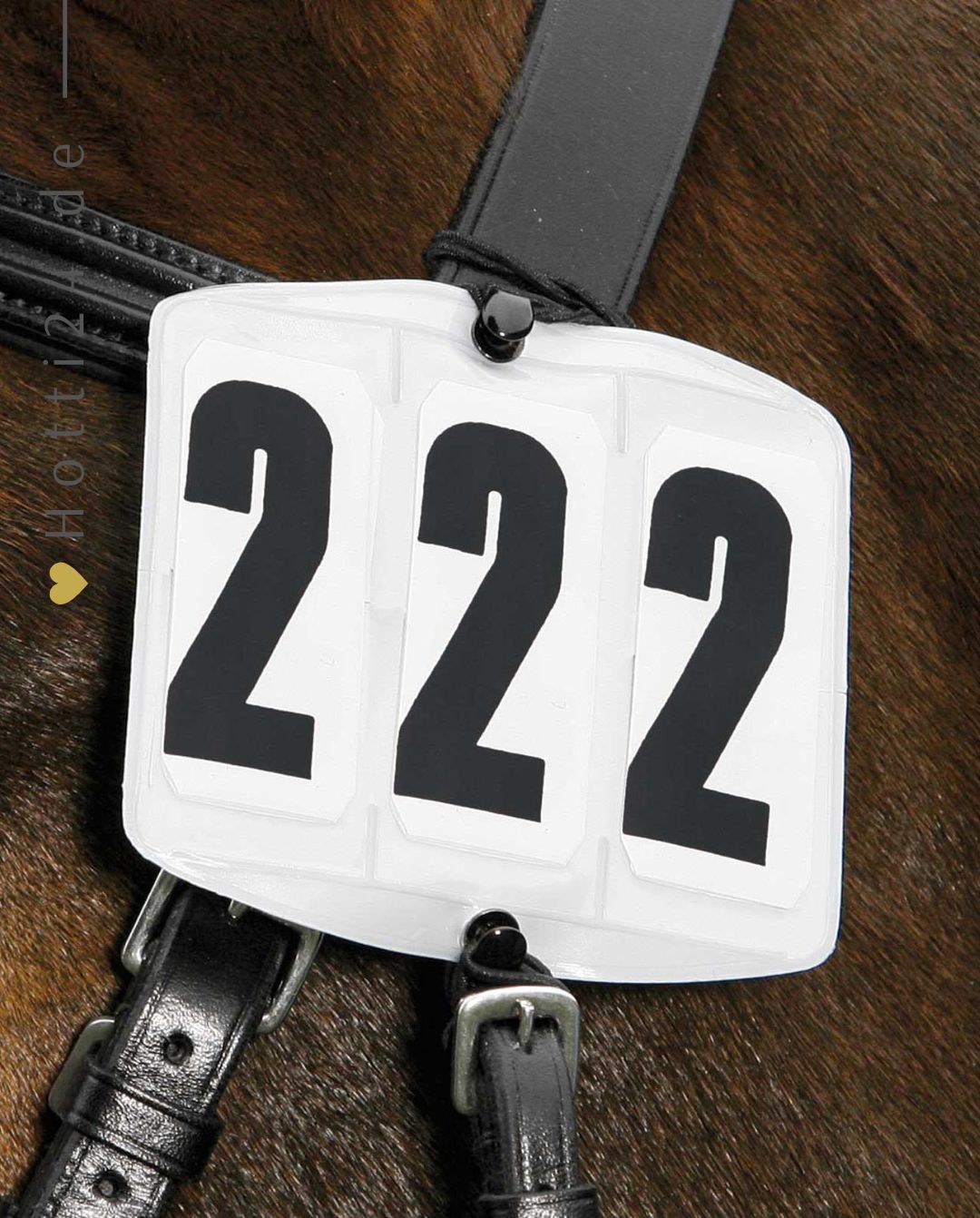 Waldhausen »Startnummern 3-stellig 2er Set White