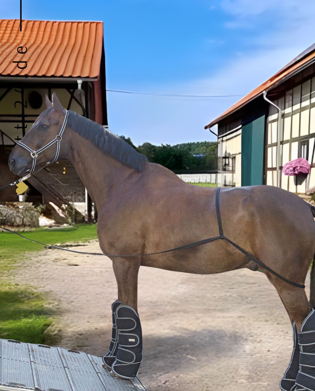 waldhausen-pferde-verladehilfe-6178200-kaufen-www.hotti24.de