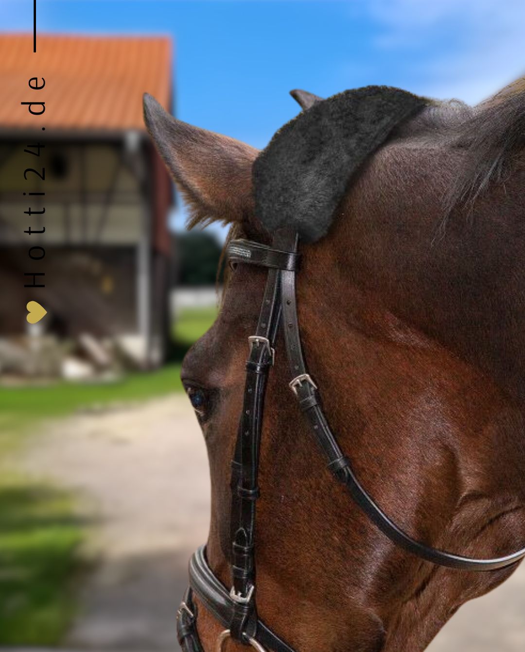 Waldhausen »Padding for Headcollar Black