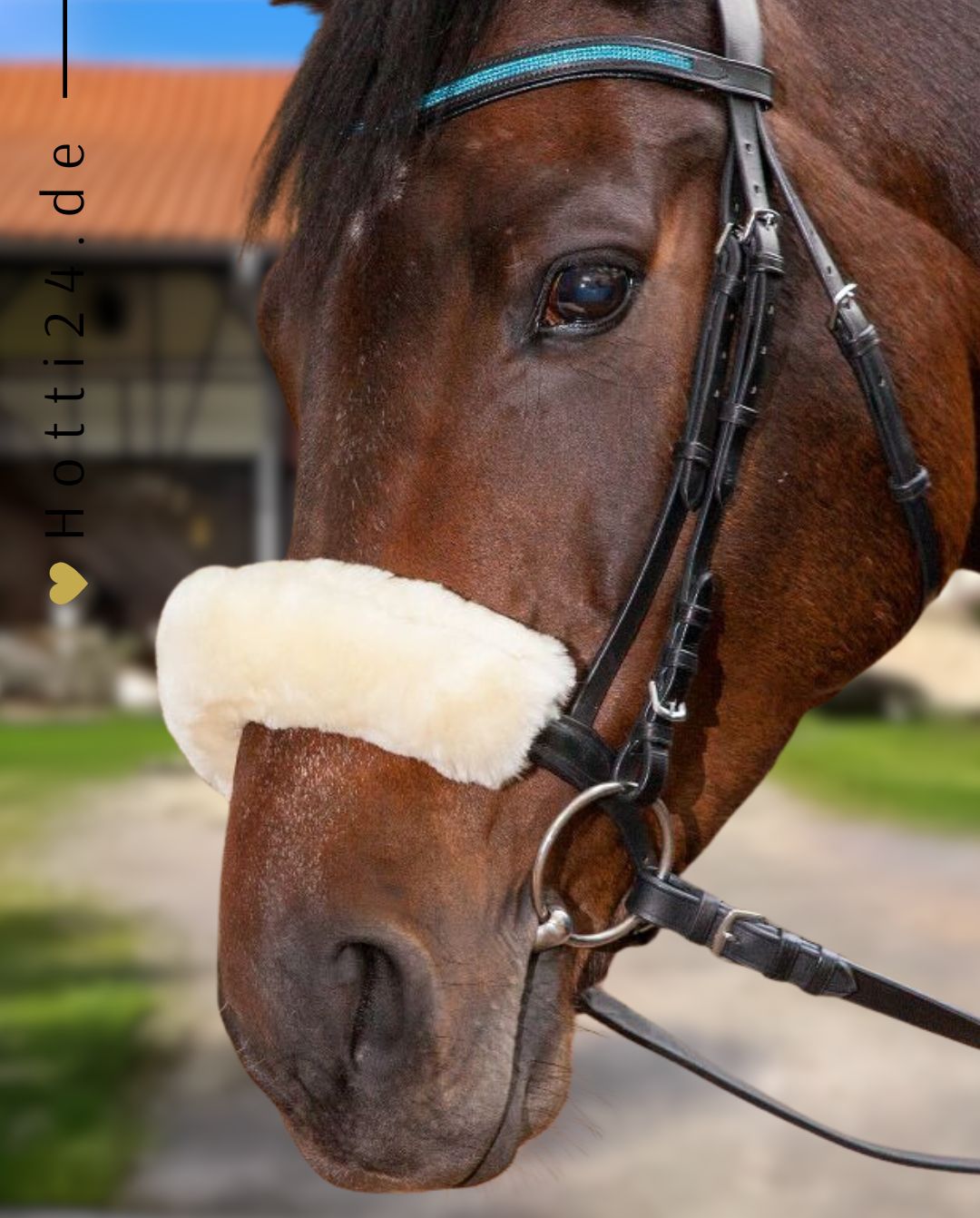 waldhausen-polster-halfter-natur-21447002-kaufen-www.hotti24.de