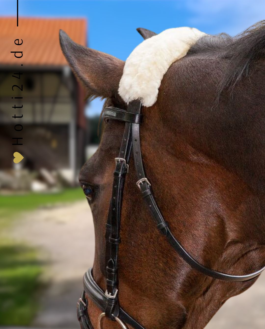 Waldhausen »Polster für Halfter Natur