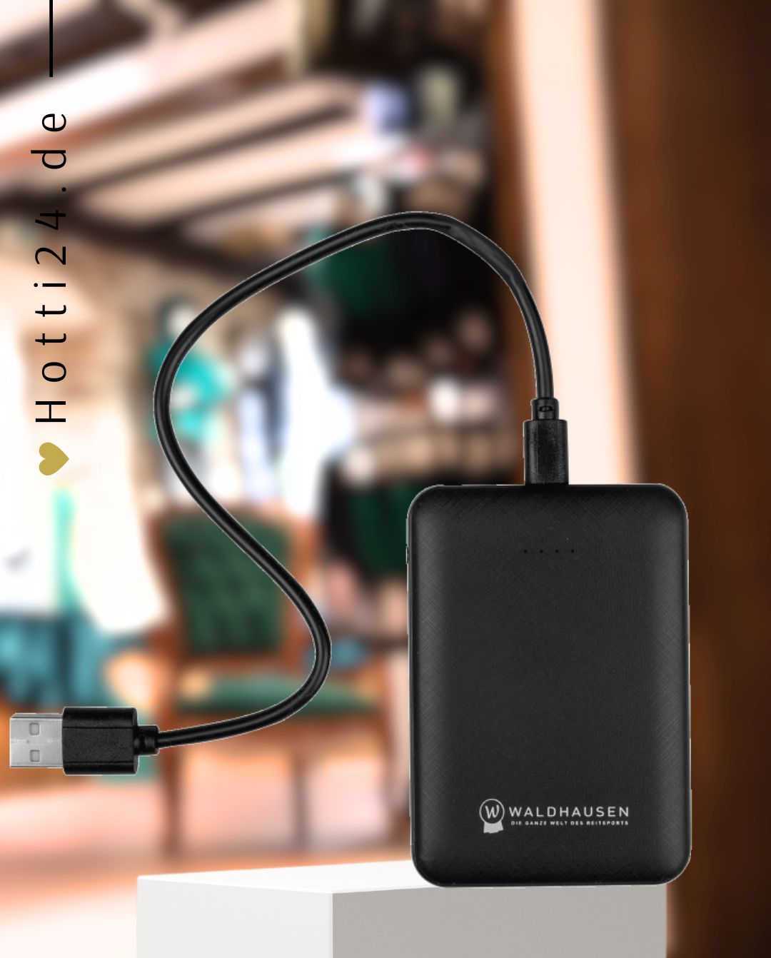 waldhausen-powerbank-386700-kaufen-www-hotti24.de