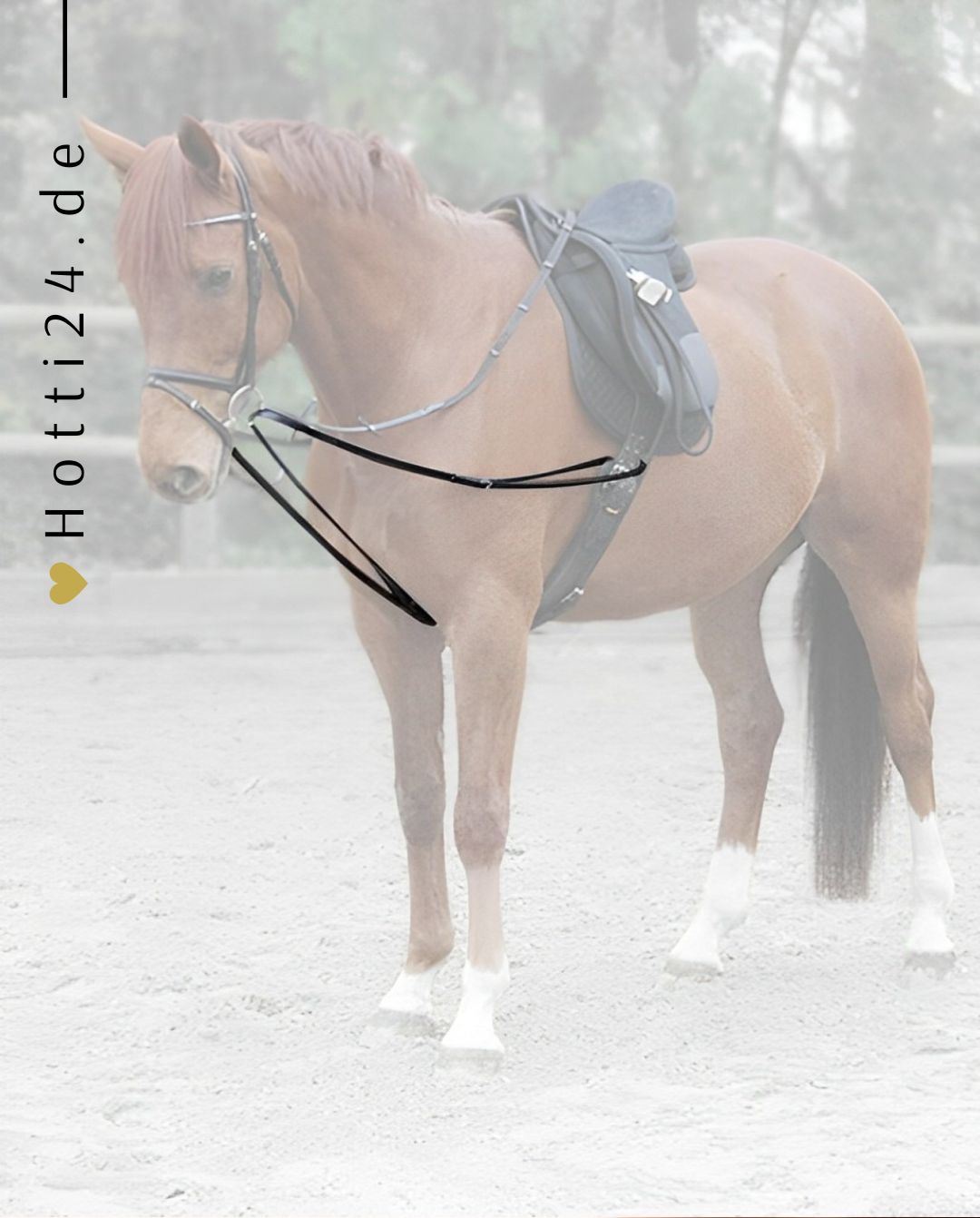 Waldhausen »Zügel X-Line Dreieckszügel einteilig