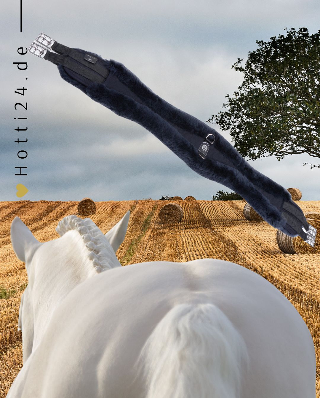 Werner Christ Horse »Pferde Sattelgurt Anatomisch Lammfellgurt Schwarz / Anthrazit, der Langgurt ist im Ellenbogenbereich vorne und hinten leicht zurückgeschnitten, um die Bewegungsfreiheit nicht einzuschränken Artikelnummer 6666-64 erhältlich bei www.Hotti24.de