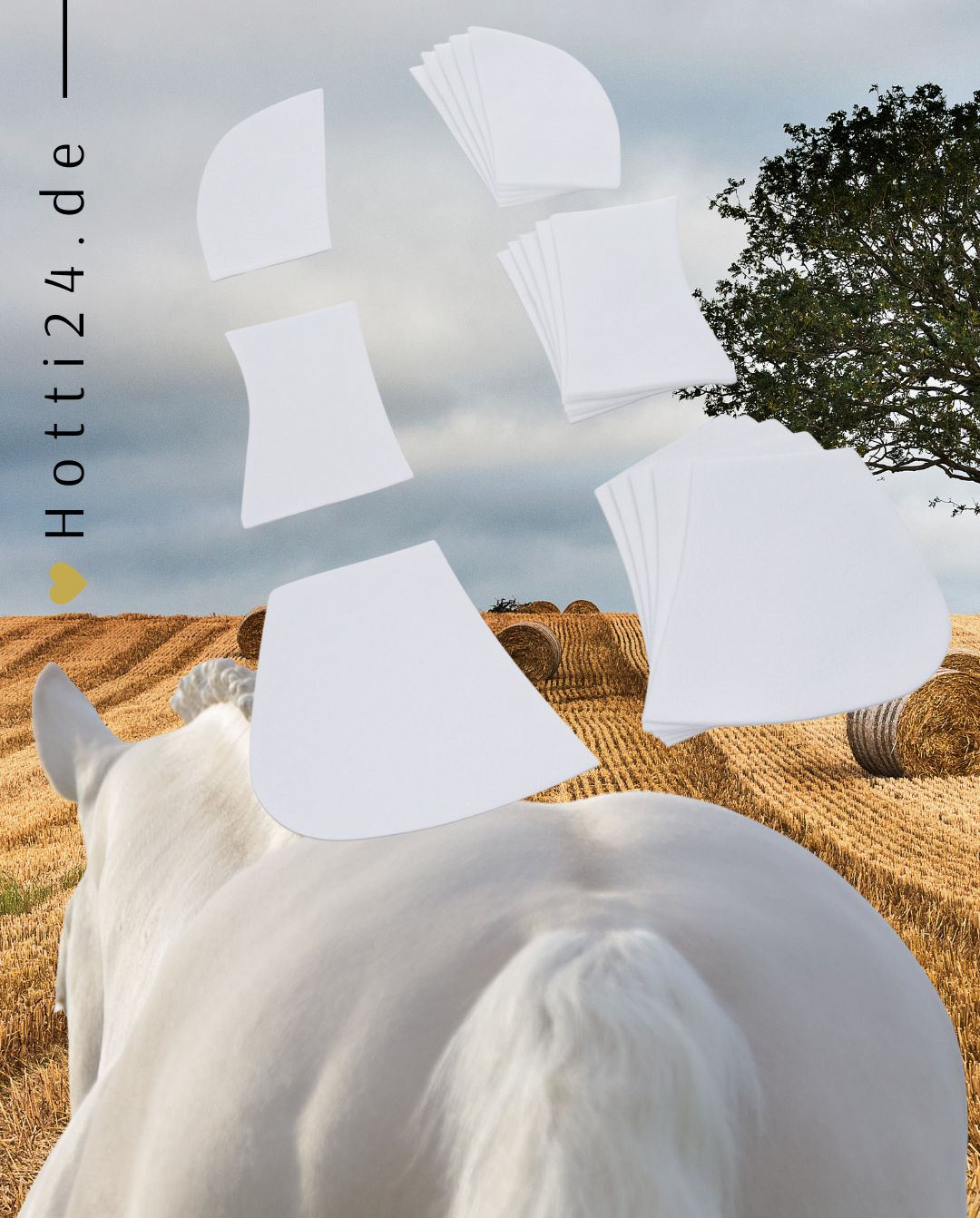 Werner Christ Horse »Pferde Sattelpad Polyfelt Unterlegscheiben für Ultra Triple Weiß, zur individuellen Polsterung und damit zur Druckminimierung und eventuell notwendigen Korrekturen können unsere Einlagen-Sets eingesetzt werden Artikelnummer 7118-00 erhältlich bei www.Hotti24.de