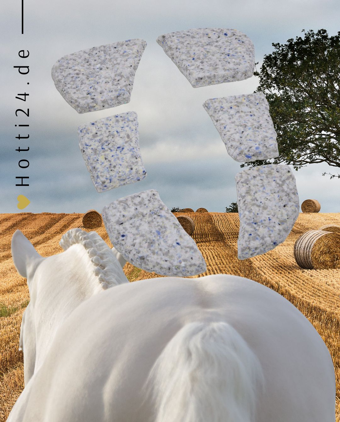 Werner Christ Horse »Pferde Sattelpad Schaumstoffeinlagen für Trim Ultra Trip, zur individuellen Polsterung und damit zur Druckminimierung und eventuell notwendigen Korrekturen können unsere Einlagen-Sets eingesetzt werden Artikelnummer 7118-00 erhältlich bei www.Hotti24.de