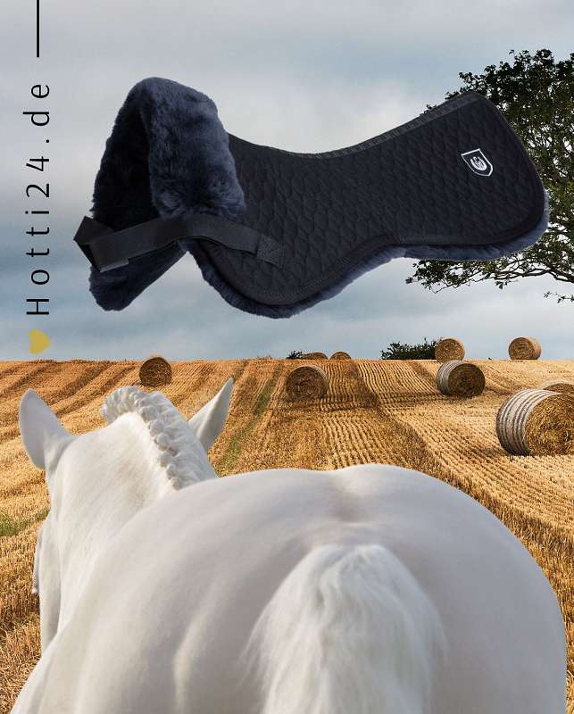 Das Werner Christ Pferde Sattelpad "Standard" in Anthrazit mit der Artikelnummer 5100-64 ist ein hochwertiges Sattelpad für Pferde. Diese Pads bieten zusätzlichen Komfort und minimieren Druckstellen, wenn sie unter dem Sattel platziert werden. Das Anthrazit-Farbdesign verleiht diesem Pad einen modernen Look, und es ist aus hochwertigen Materialien gefertigt, die langlebig und komfortabel für das Pferd sind. Erhältlich unter www.Hotti24.de.