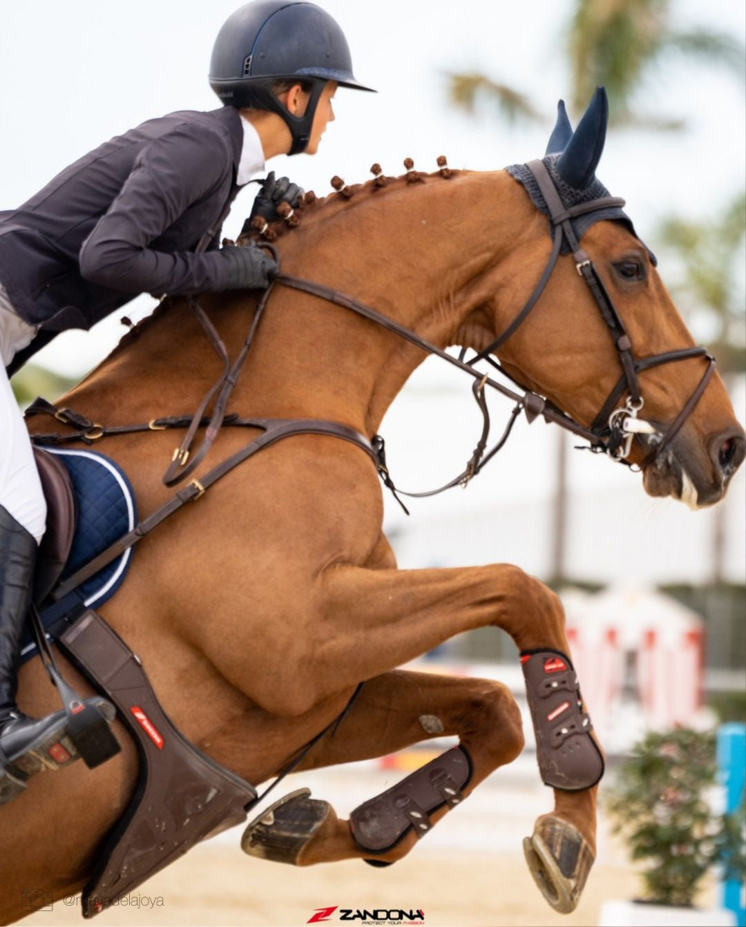 Zandona »Gamaschen Carbon Pro Brown