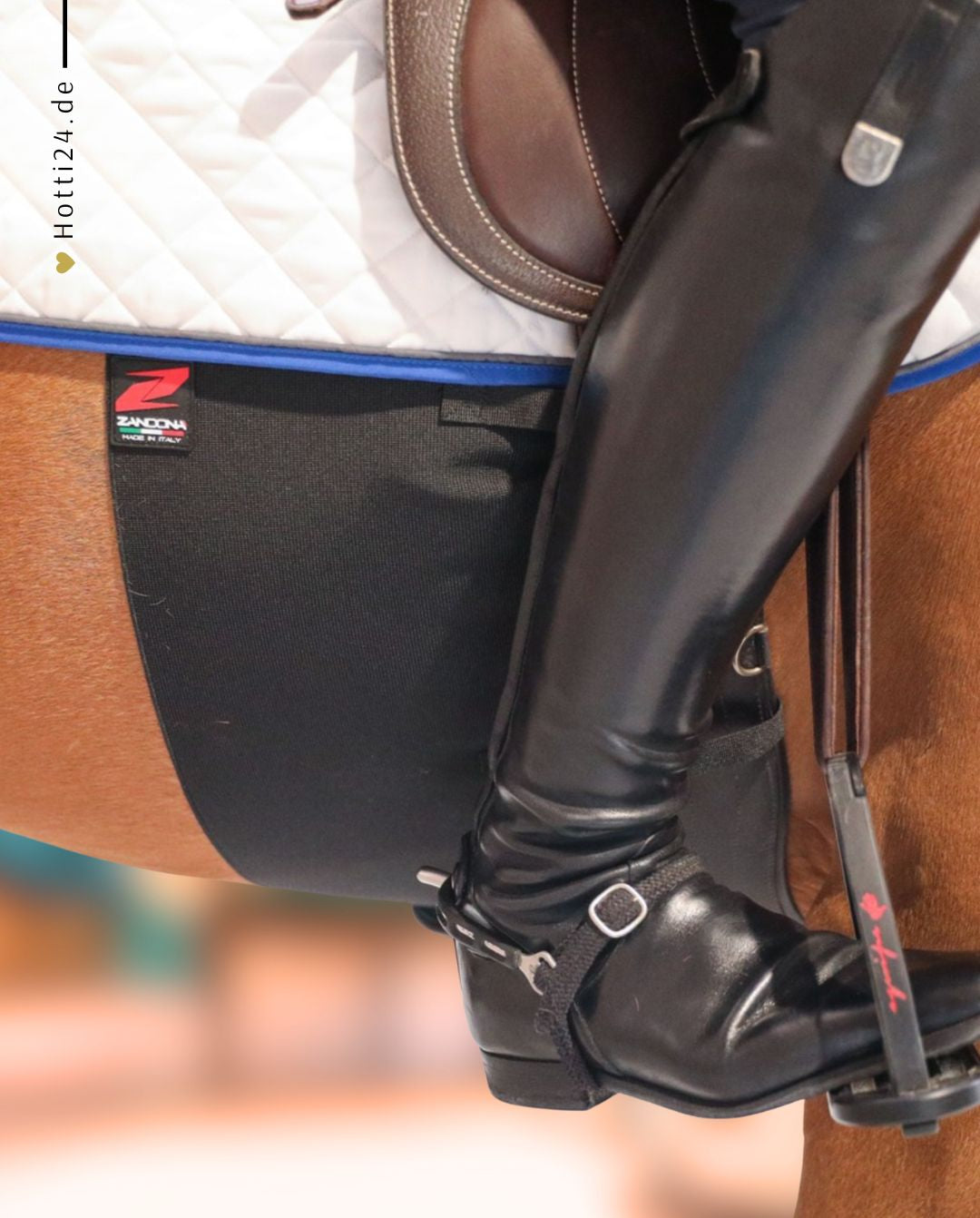 Zandona »Sporenschutzgurt Superior Chafe Guard EVO Black