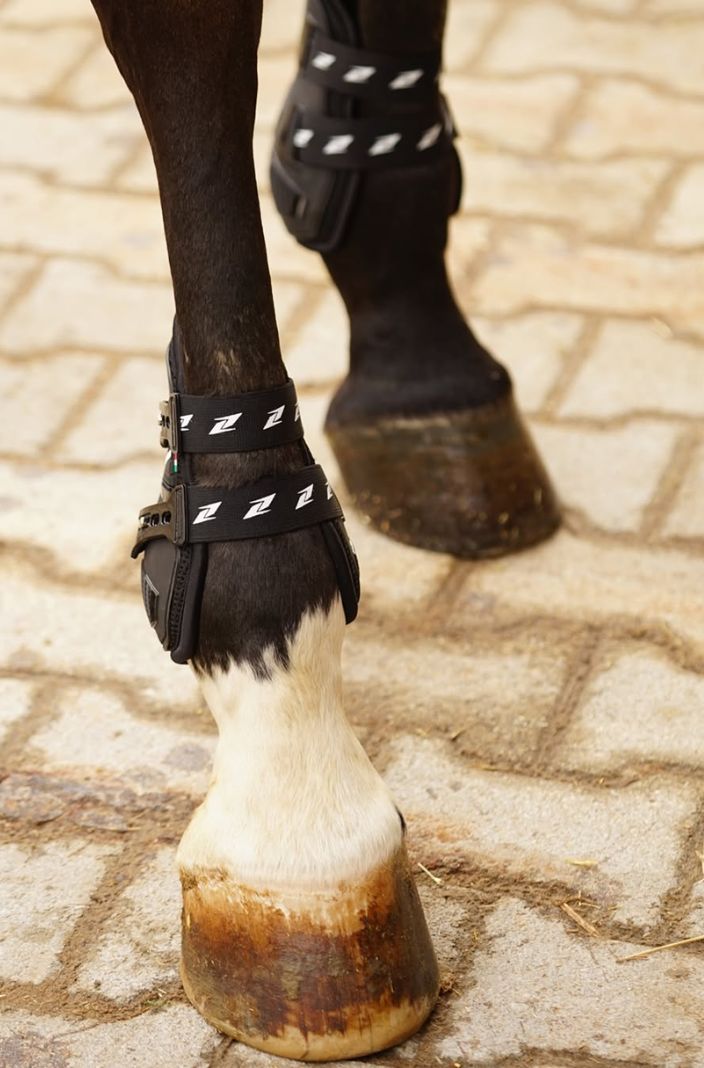 Zandona "Carbon Professional Rear Fetlock Boots Black