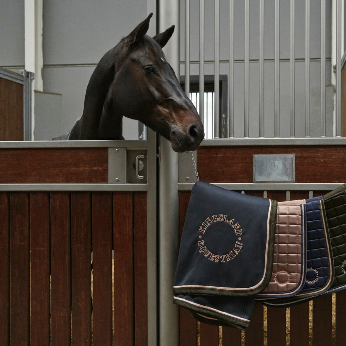 kingsland-turnierdecke-abschwitzdecke-klsofia-navy-2230413654-6020-www.hotti24.de-2