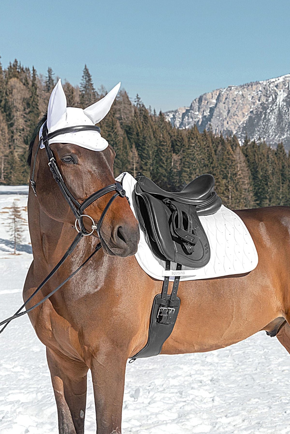 equiline-pferde-dressurschabracke-galeg-weiss-ew122pb11270-001-dn-www.hotti24.de