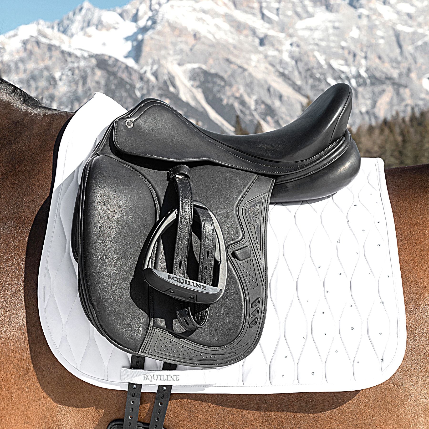 equiline-pferde-dressurschabracke-galeg-weiss-ew122pb11270-001-dn-www.hotti24.de