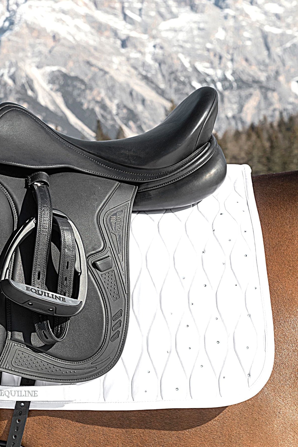 equiline-pferde-dressurschabracke-galeg-weiss-ew122pb11270-001-dn-www.hotti24.de