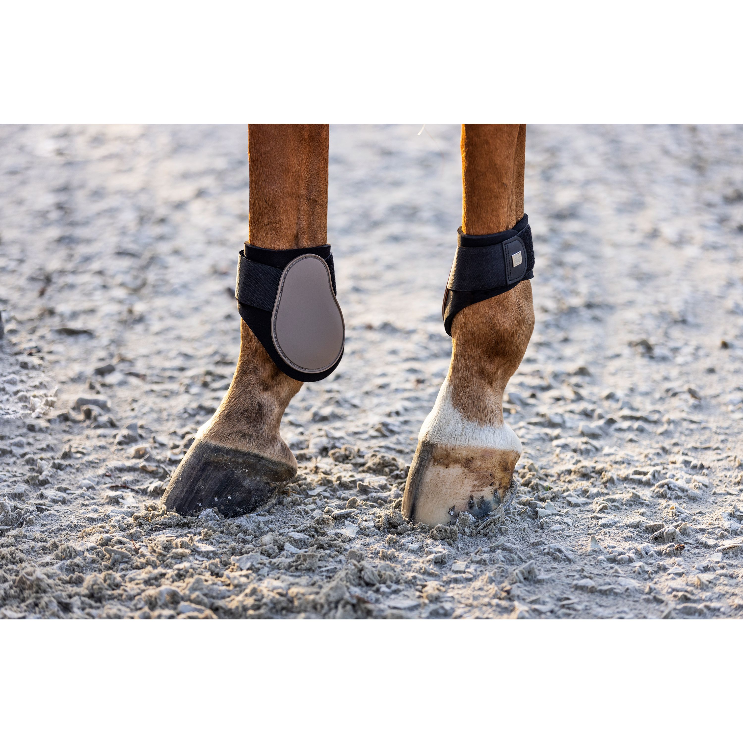 imperial-riding-streichkappen-lovely-cappuccino-be70322000-8043-www-hotti24-de-3