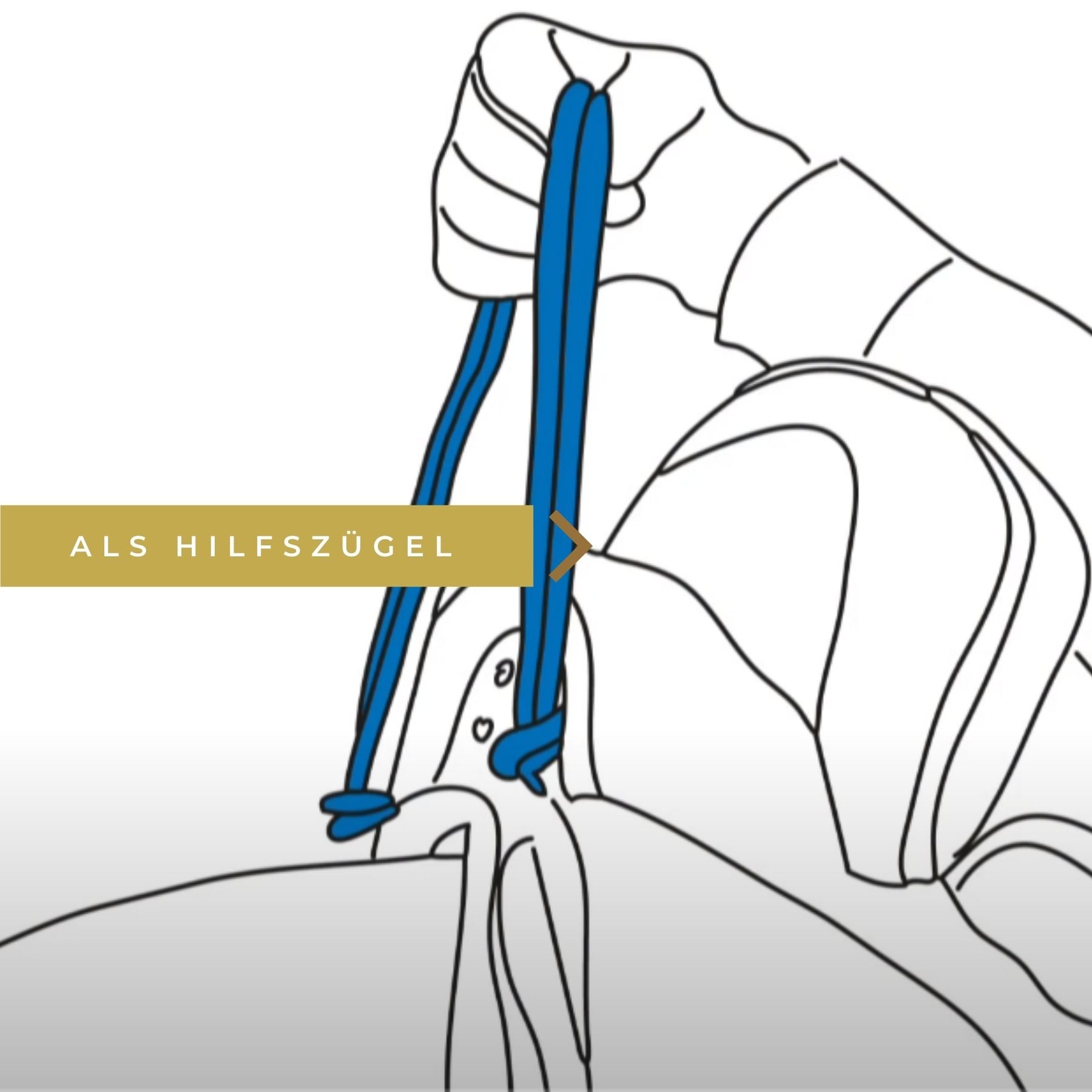 HAAS »Aid Braid Helfi Seil