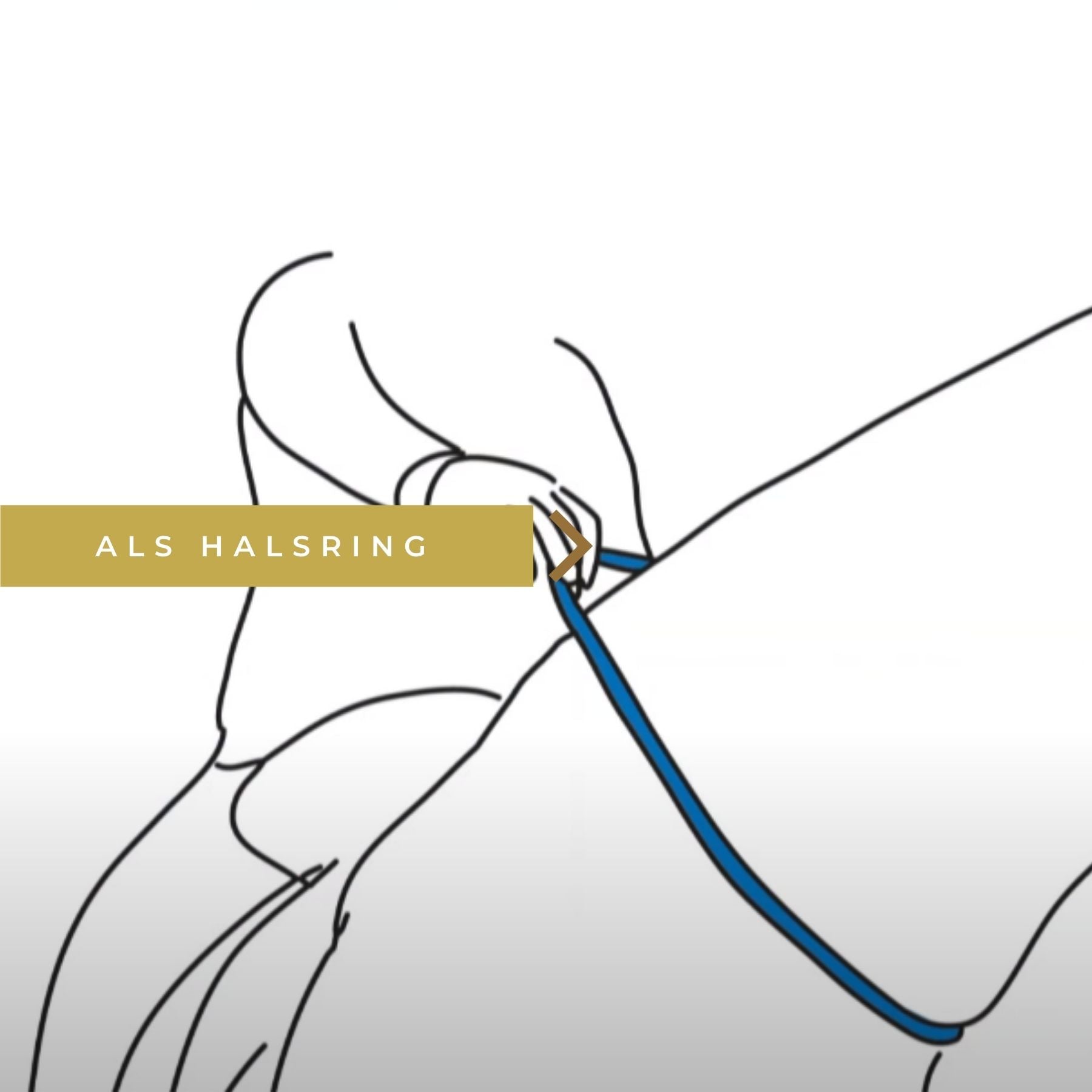 HAAS »Aid Braid Helfi Seil