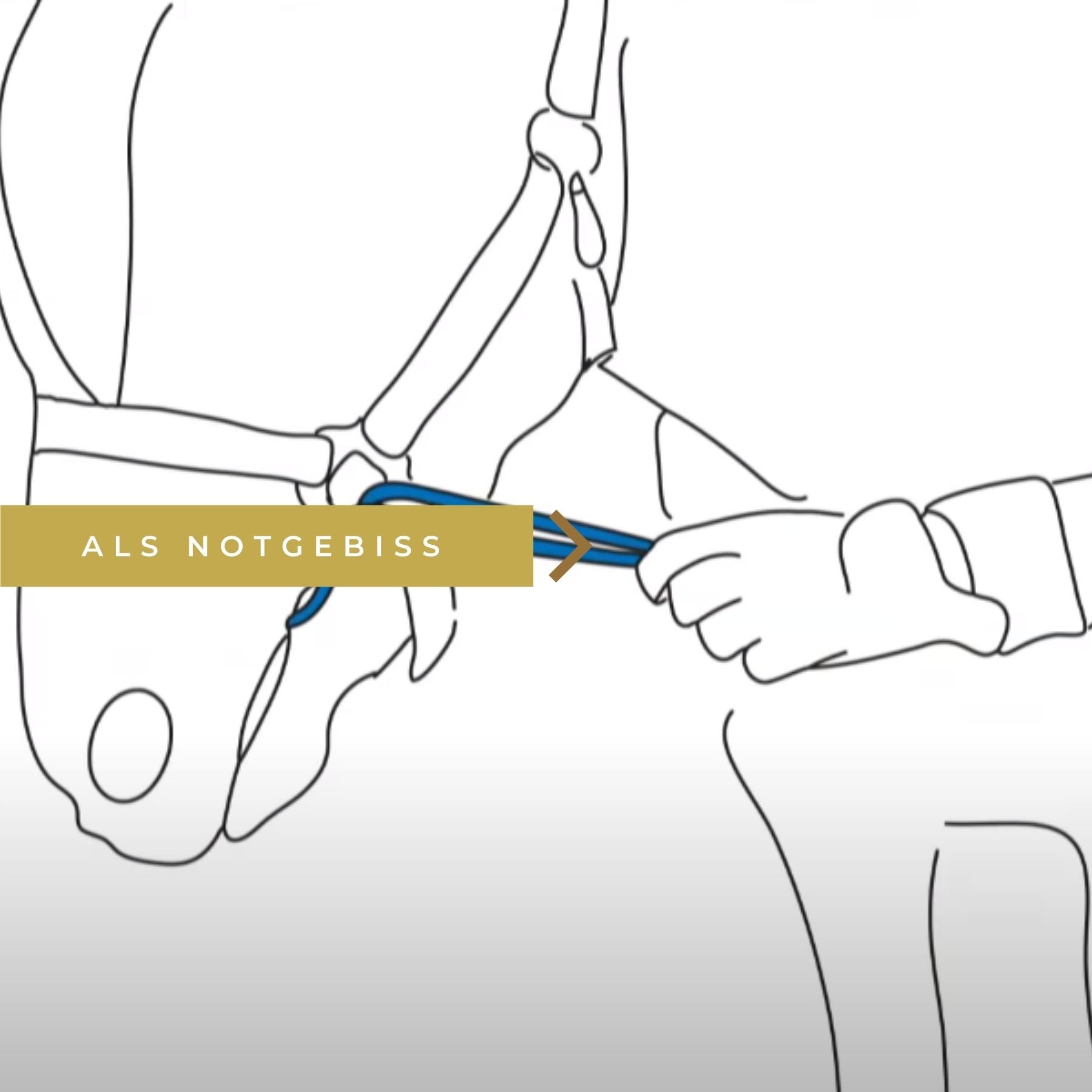 HAAS »Aid Braid Helfi Seil