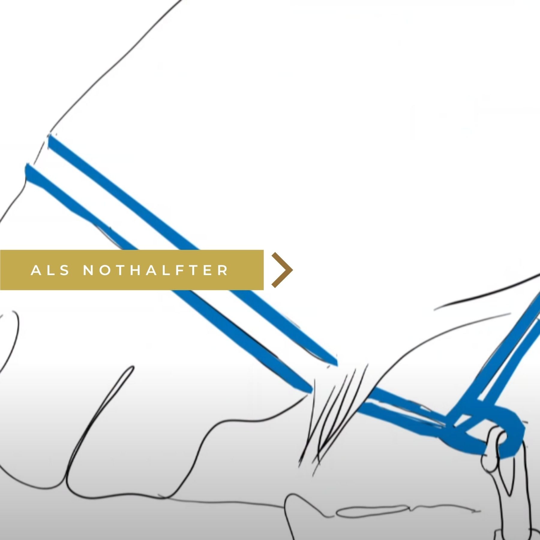 HAAS »Aid Braid Helfi Seil