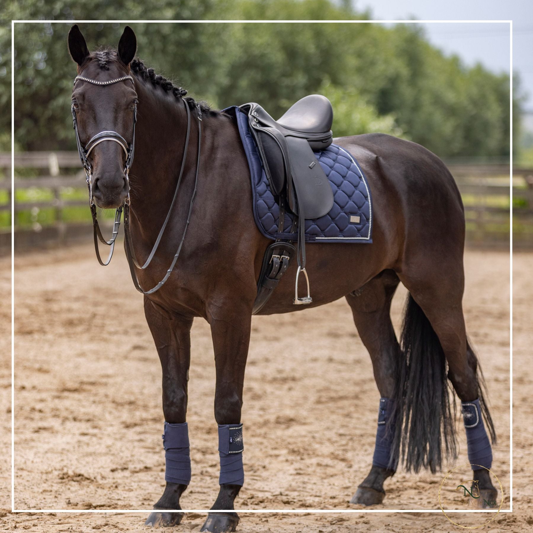 hv-polo-pferde-dressurschabracke-marlie-navy-silver-blau-0802493454-5694-kaufen-www.hotti24.de