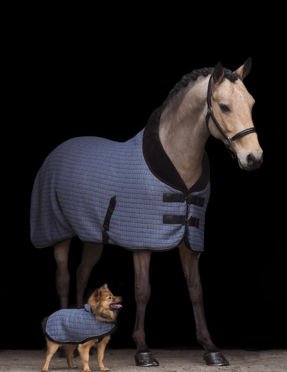 HV POLO »Stable Blanket HVPFranka Grey
