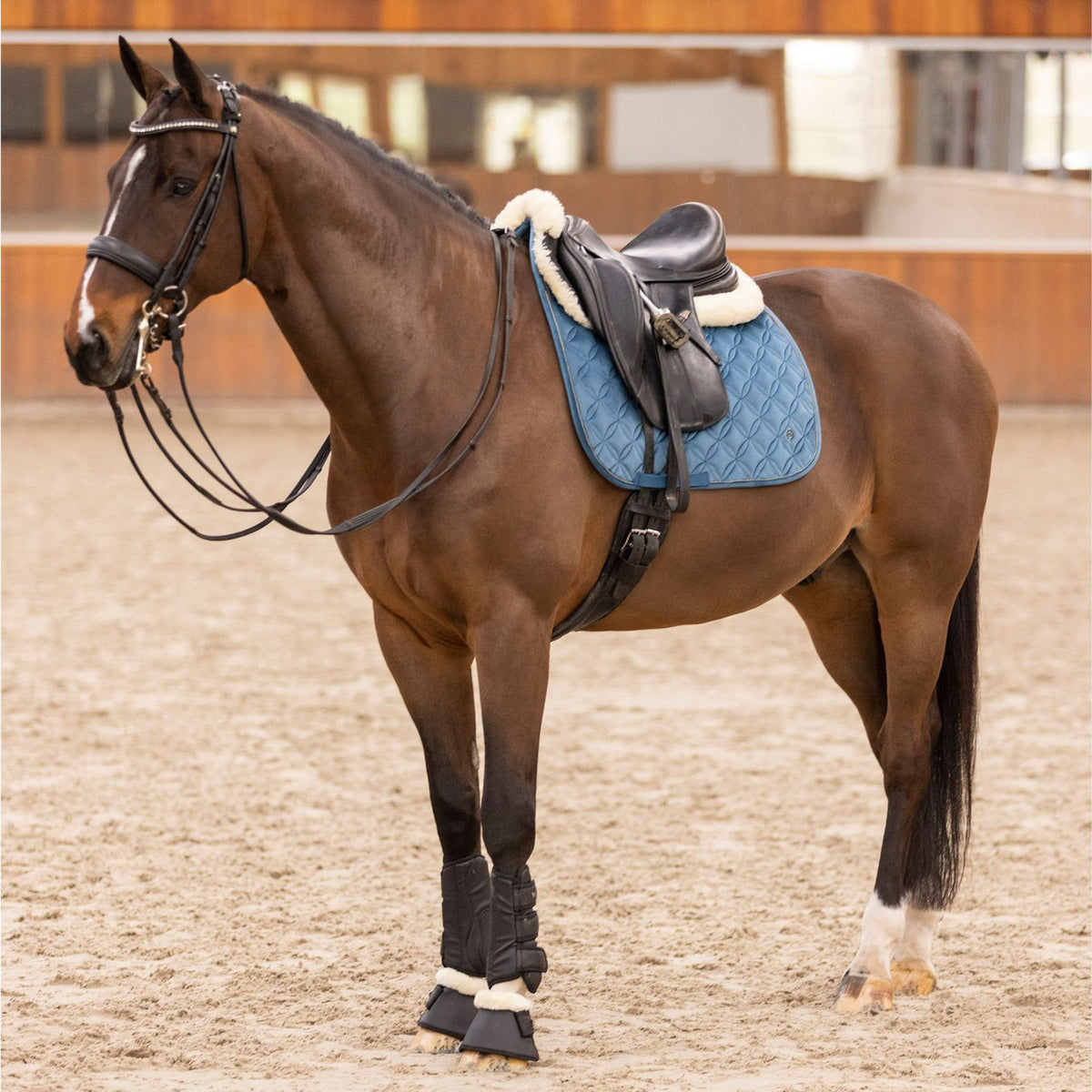 HV POLO »All-purpose Saddle Pad HVPChavelle Deep Sea Blue