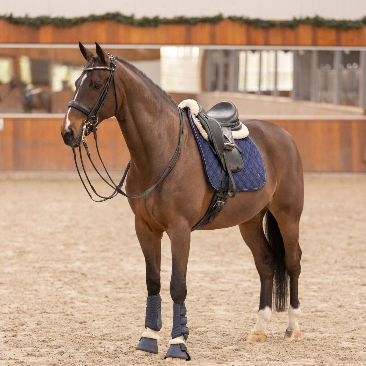 HV POLO »All-purpose Saddle Pad HVPChavelle Navy