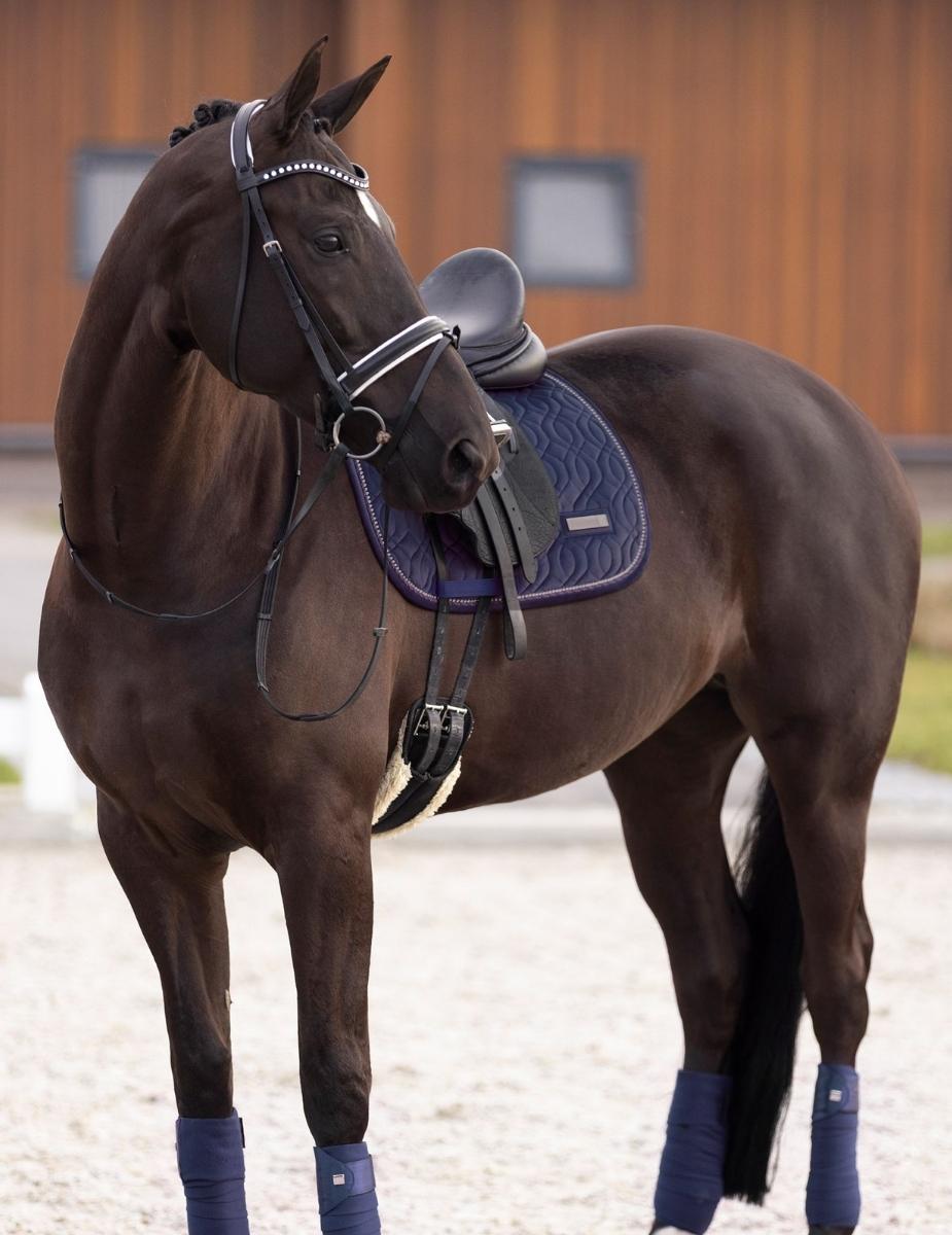 Imperial Riding Dressage Saddle Pad IRHSky Navy
