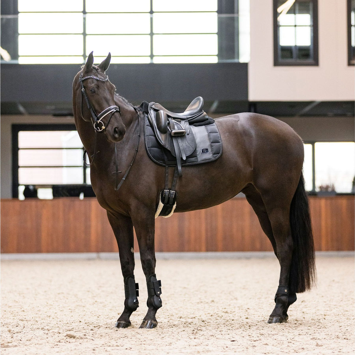 imperial riding gamaschen lovely schwarz be10322001-9000