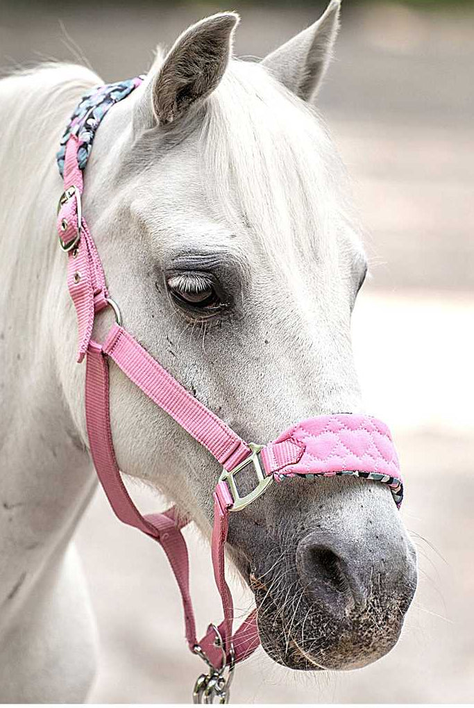 pferde halfter herz rosa stormy imperial-riding
