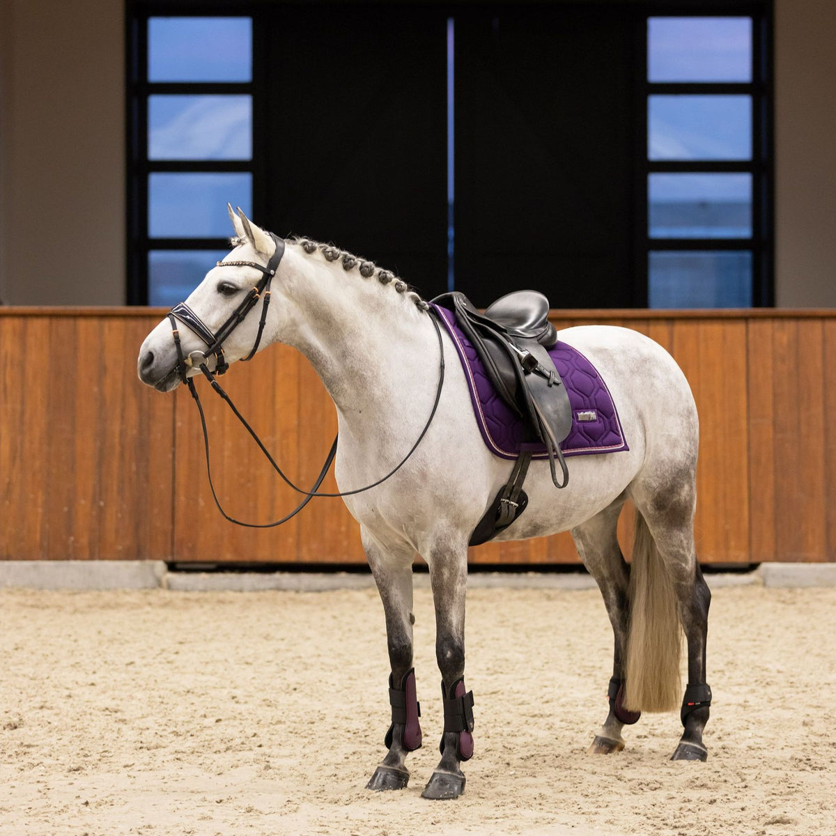 IMPERIAL RIDING »Fetlock Boots IRHLovely Berry