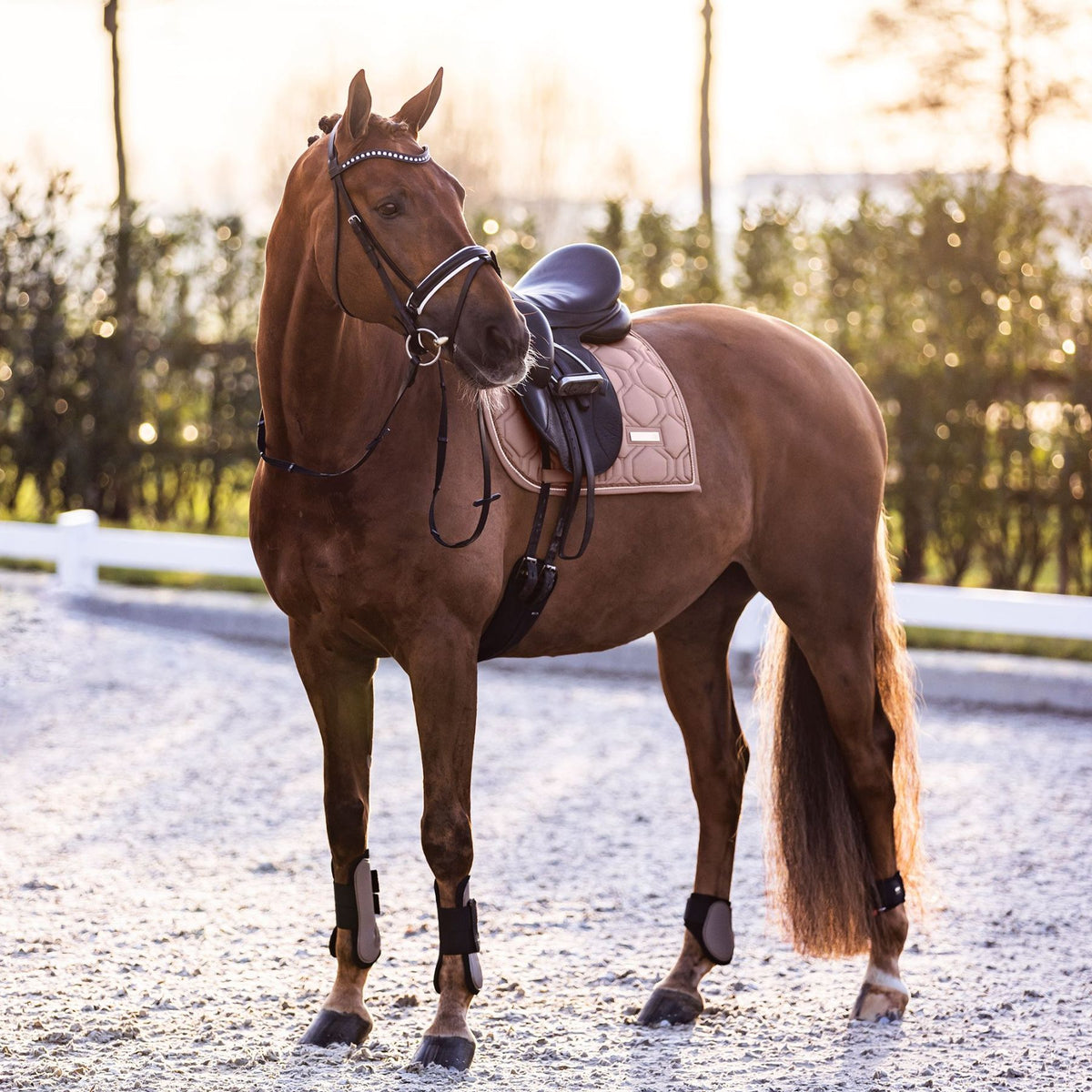 IMPERIAL RIDING »Fetlock Boots IRHLovely Cappuccino