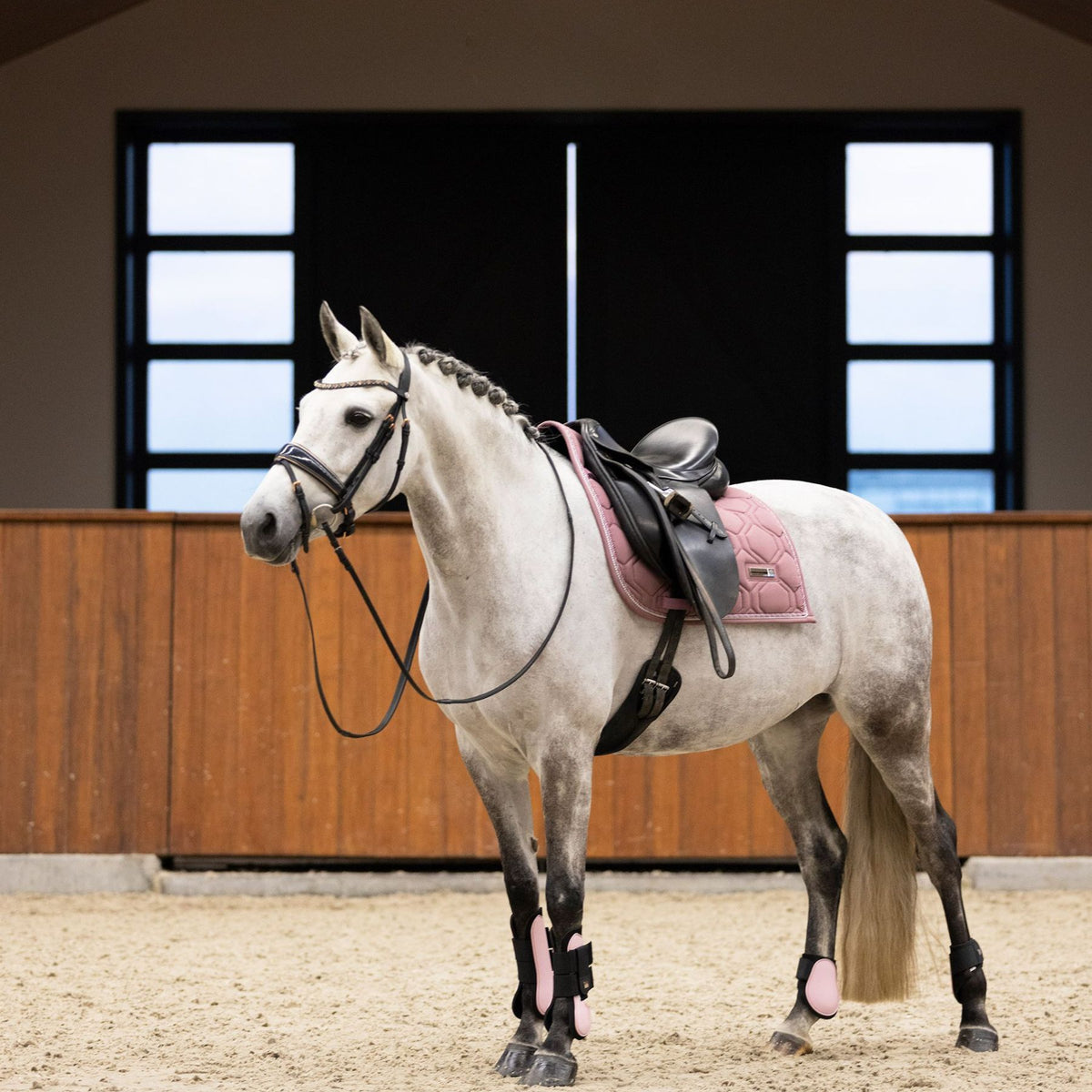 IMPERIAL RIDING »Fetlock Boots IRHLovely Classy Pink