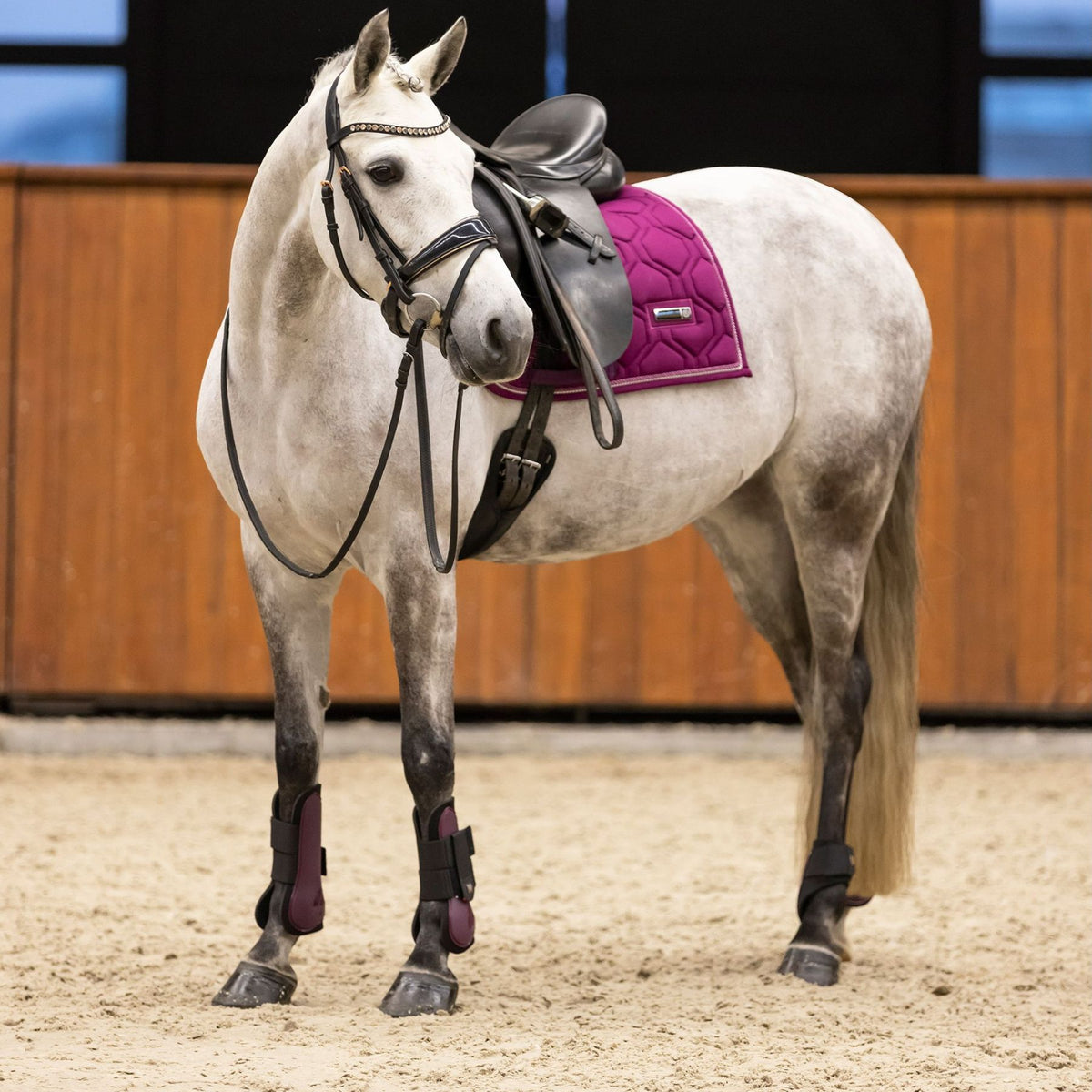 IMPERIAL RIDING »Fetlock Boots IRHLovely Flower