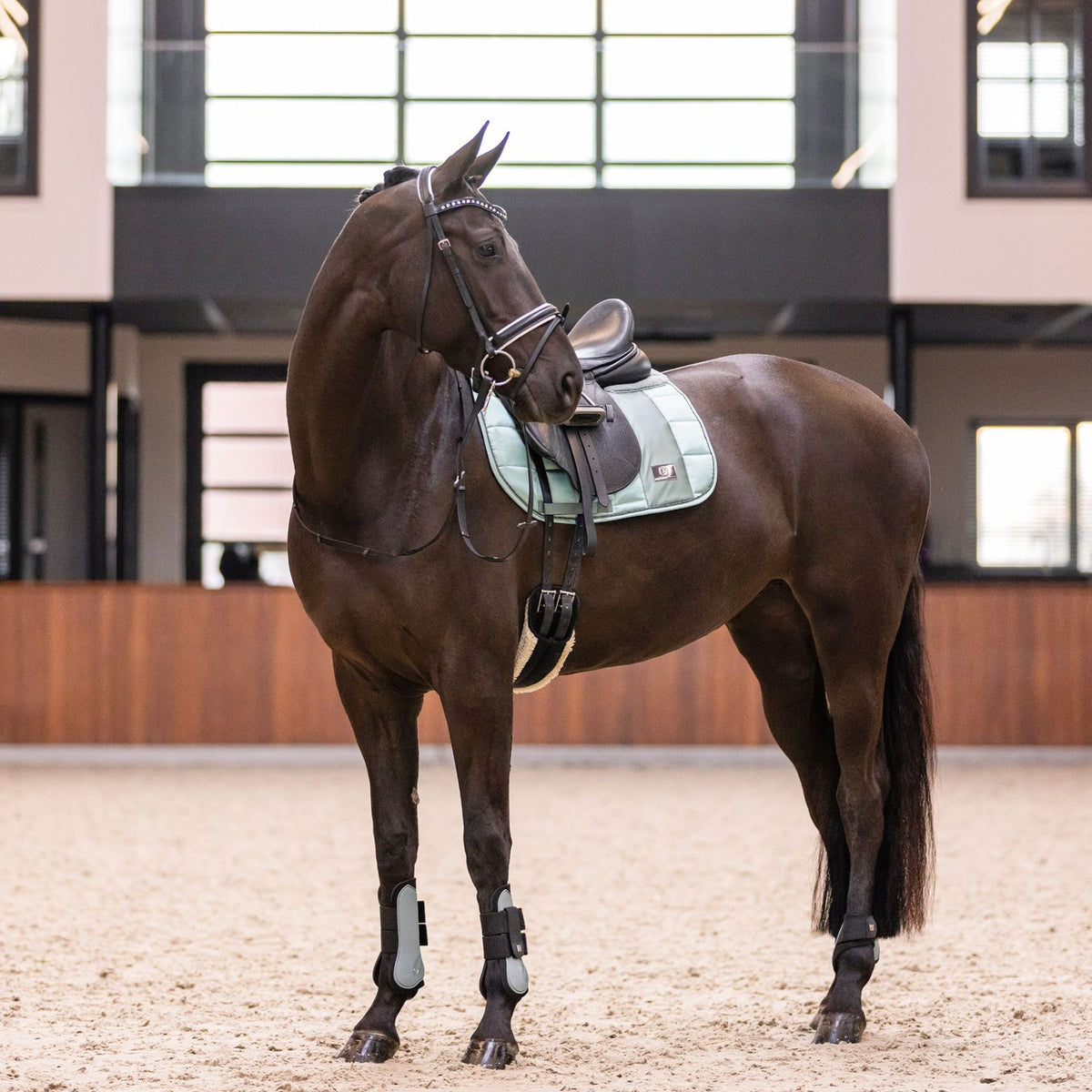 IMPERIAL RIDING »Fetlock Boots IRHLovely Green