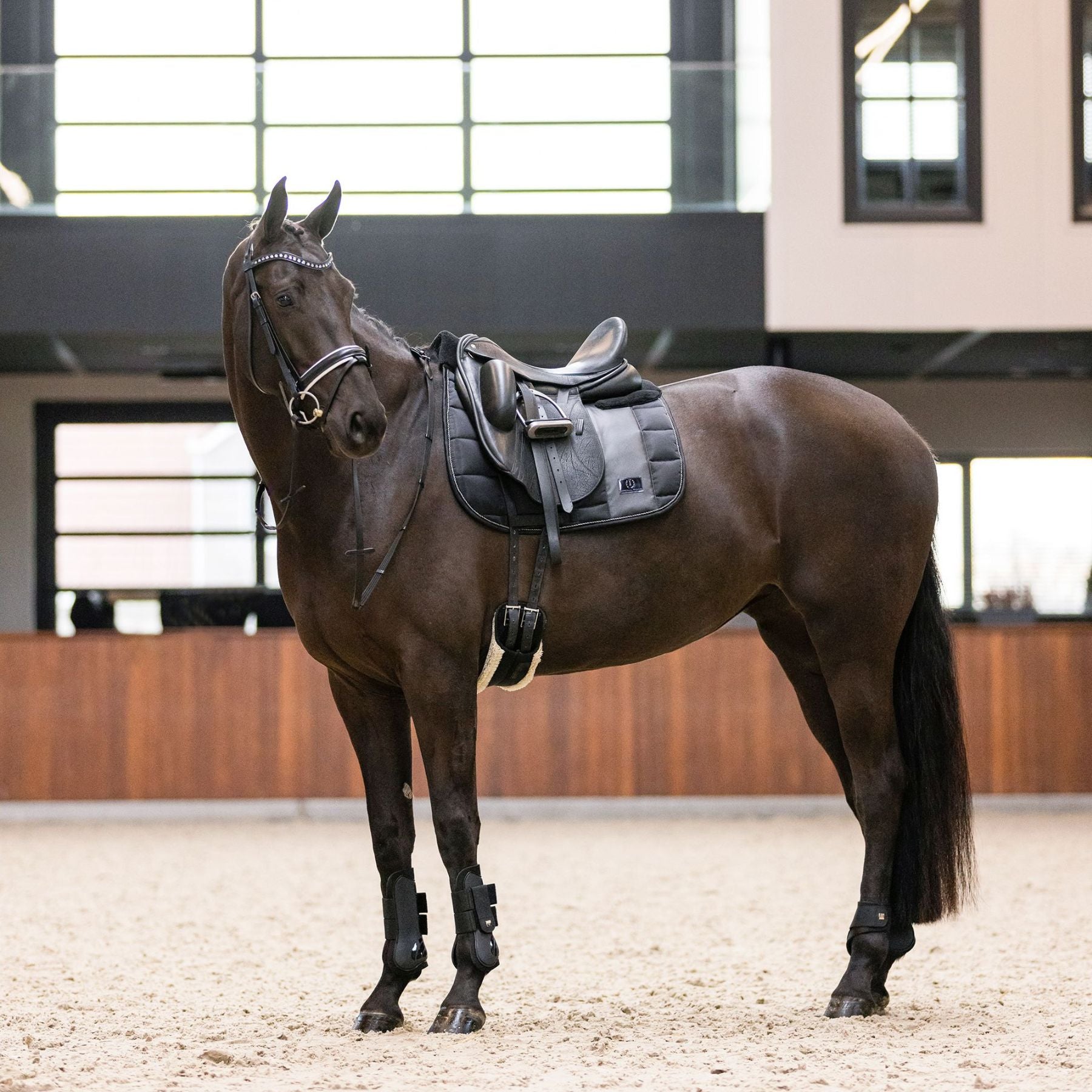 IMPERIAL RIDING »Streichkappen IRHLovely Black