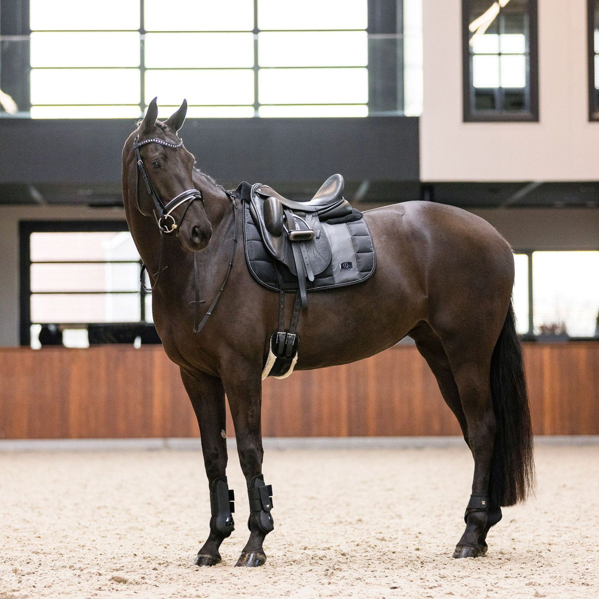 IMPERIAL RIDING »Fetlock Boots IRHLovely Black