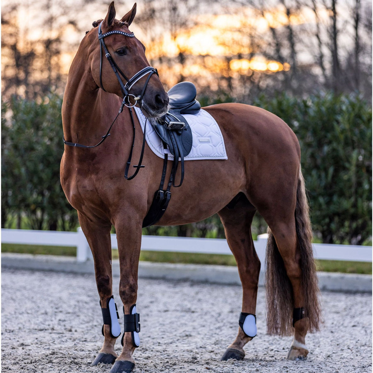 IMPERIAL RIDING »Fetlock Boots IRHLovely White