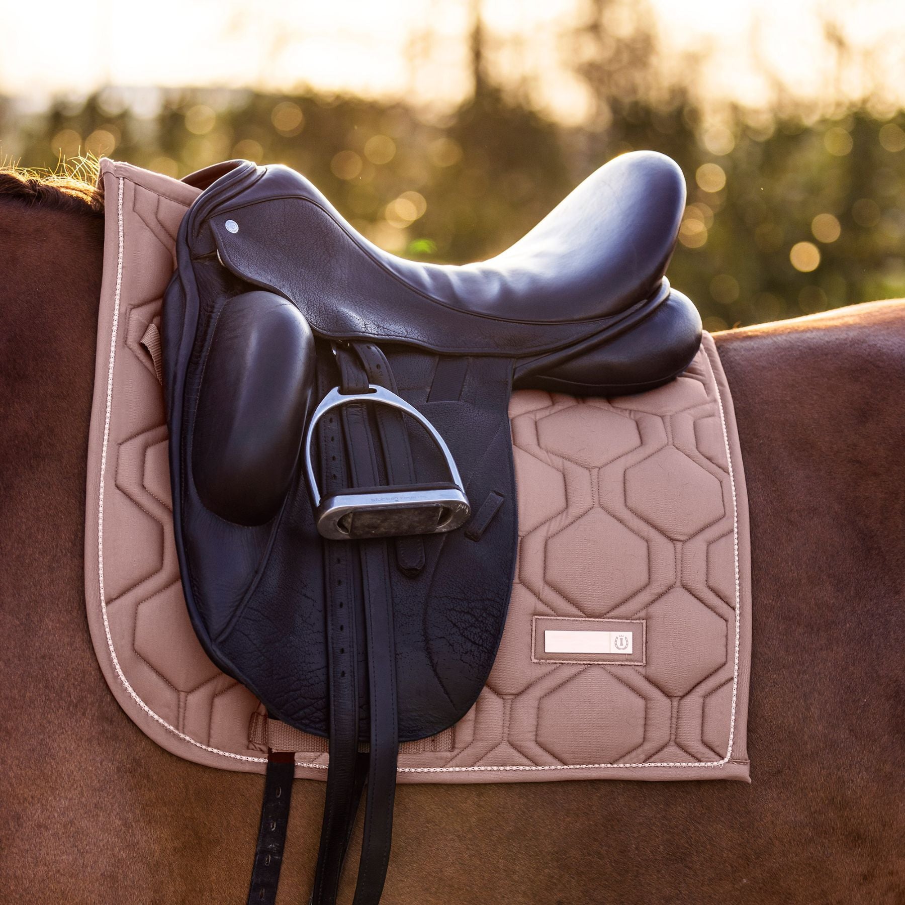IMPERIAL RIDING »Vielseitigkeitsschabracke IRHLovely Pearl Cappuccino
