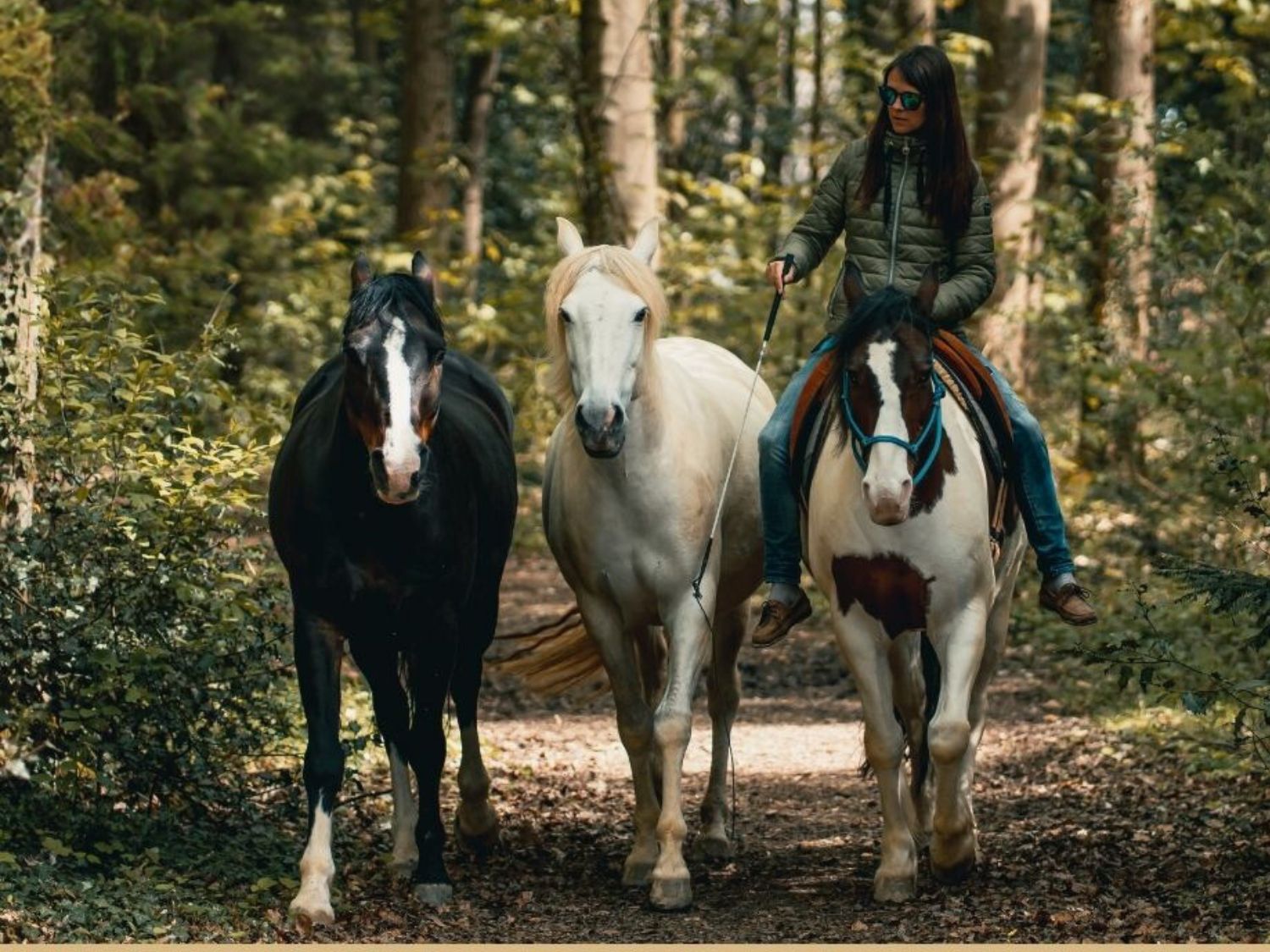 Bodenarbeit Workshop in Ellrich