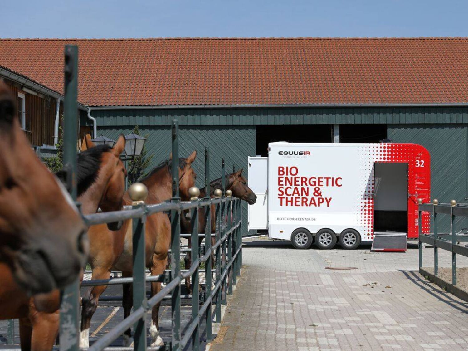 Gewinne einen BEST-BOX Rundum Check für dein Pferd