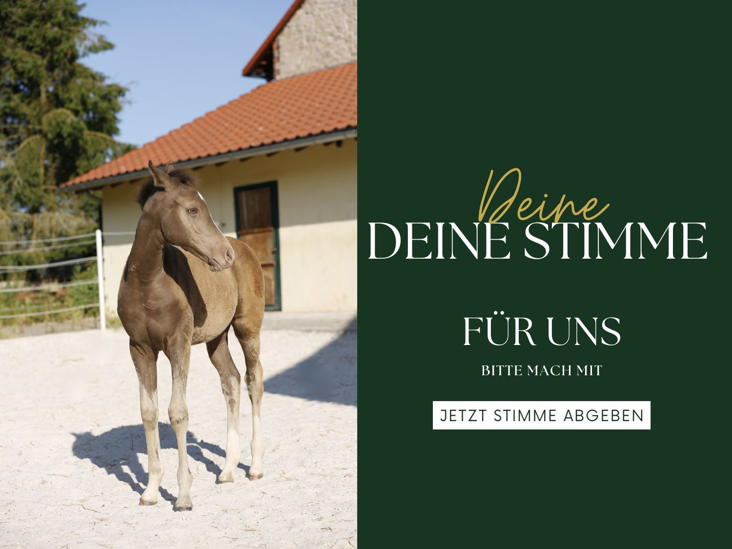 Wir brauchen DICH