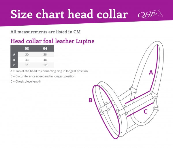 QHP »Fohlen Halfter Leder Lupine Braun