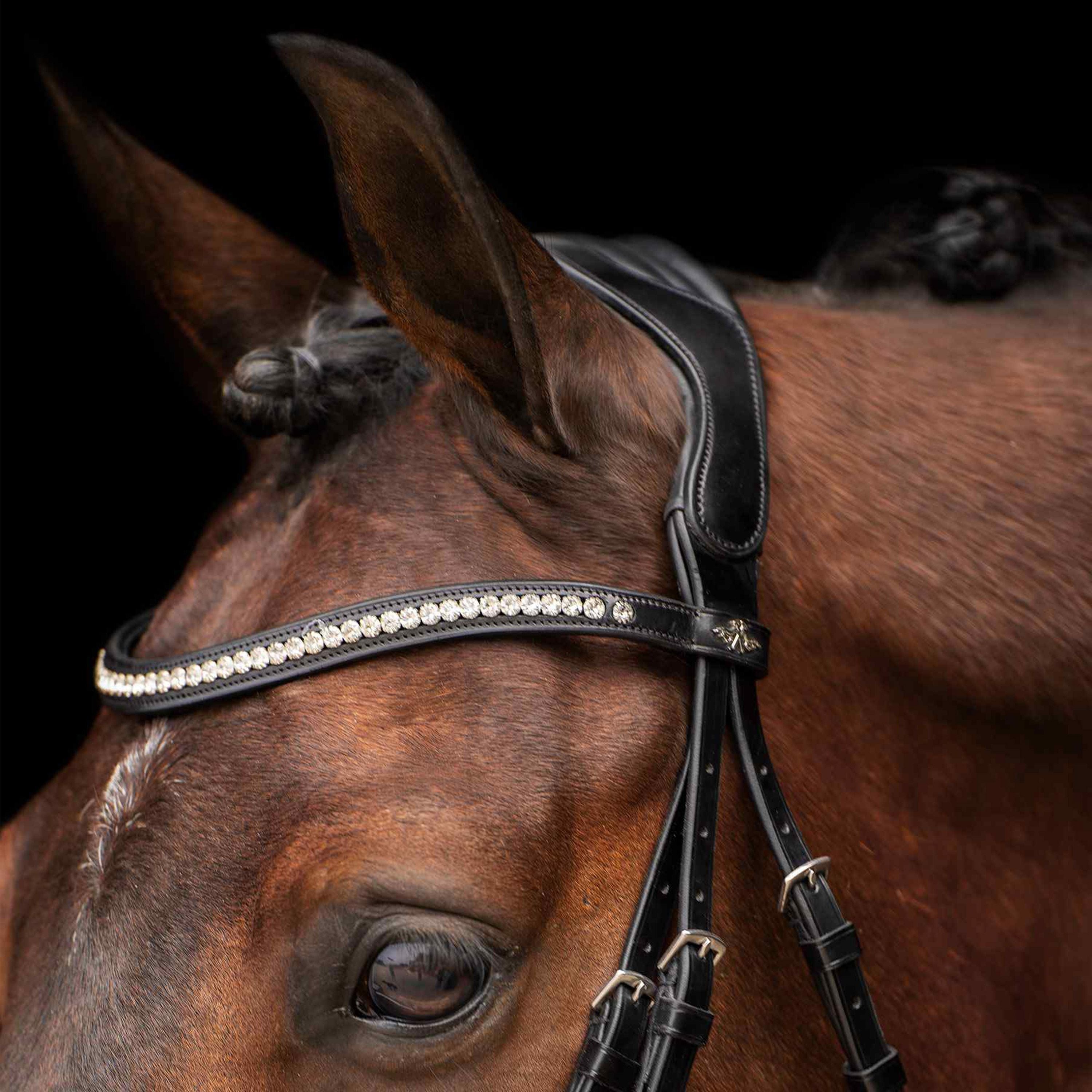 HV POLO »Pferde Trensenzaum Legacy de Luxe  schwarz-weiß