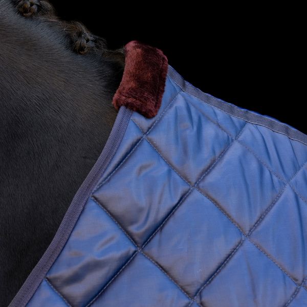 Die HV POLO Pferde Stalldecke "Jet" in Blau mit der Artikelnummer 2404093501-5001 ist ein unverzichtbares Accessoire für Pferde, um sie im Stall warm und geschützt zu halten. Diese Stalldecke zeichnet sich durch ihre hohe Qualität und das ansprechende blaue Design aus.  Sie können die HV POLO Pferde Stalldecke "Jet" in Blau auf www.Hotti24.de erwerben.