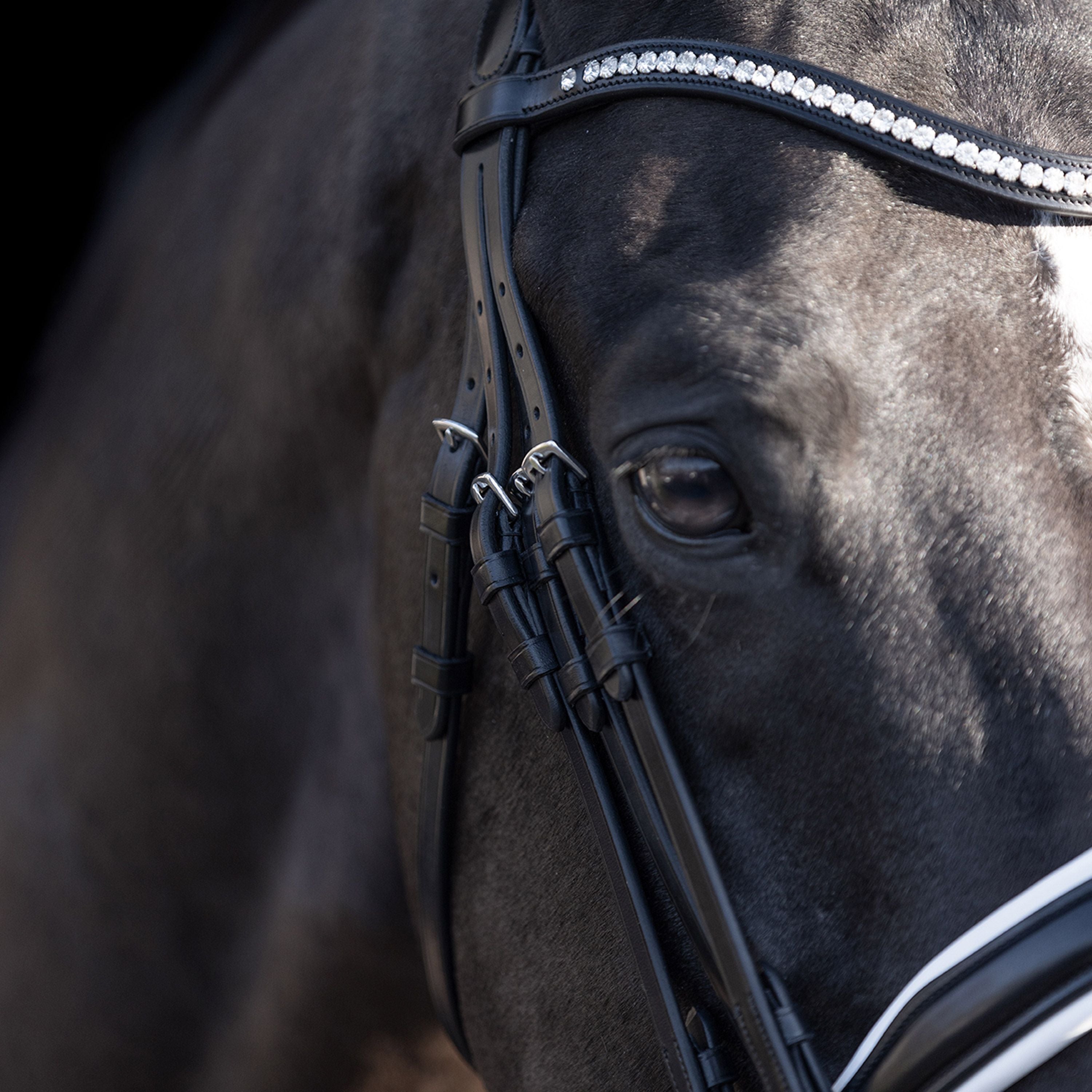 HV POLO »Pferde Kandarenzaum Legacy de Luxe