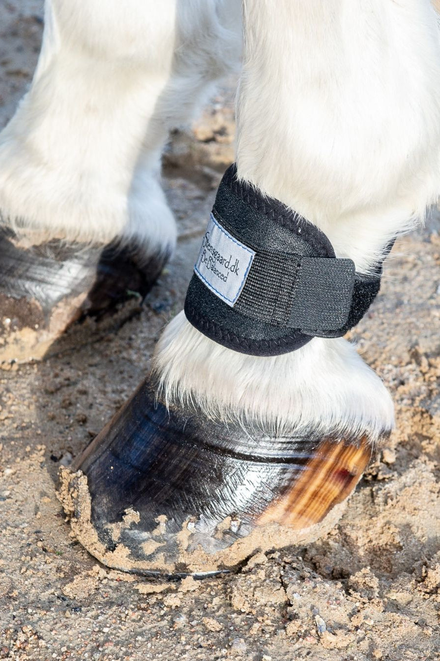 B-Stensgaard Multibandage für Mensch & Tier