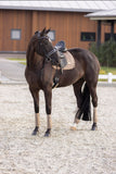 Imperial Riding »Pferde Wickelbandagen IRHLovely 4er Set Braun, haben ein tolles Design und der breite Klettverschluss sorgt für einen festen Halt. Das Metalllogo ist ein Blickfang Artikelnummer ba20122000-8043 erhältlich bei www.Hotti24.de