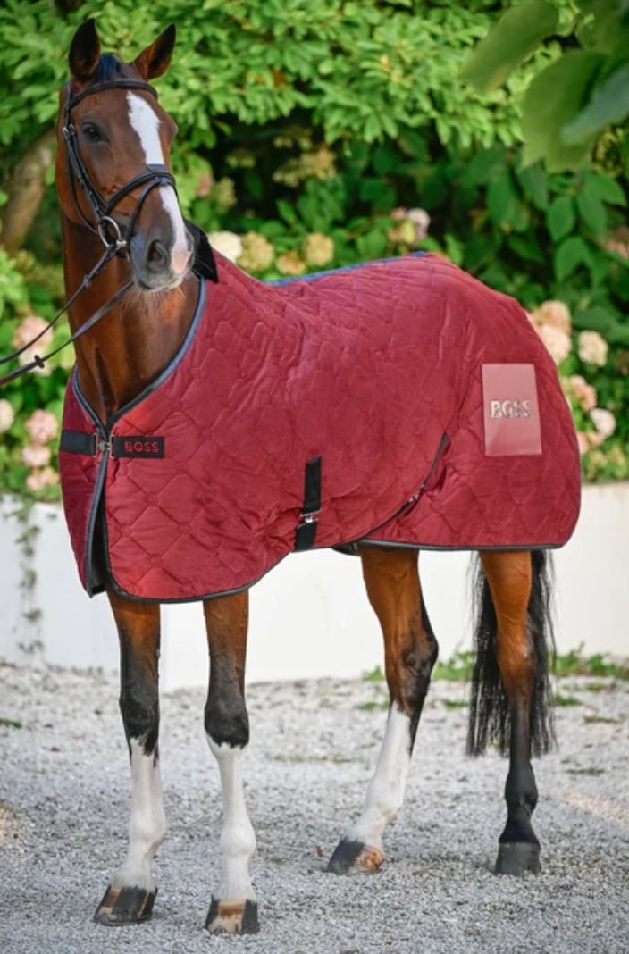 BOSS Equestrian Abschwitzdecke Cabernet